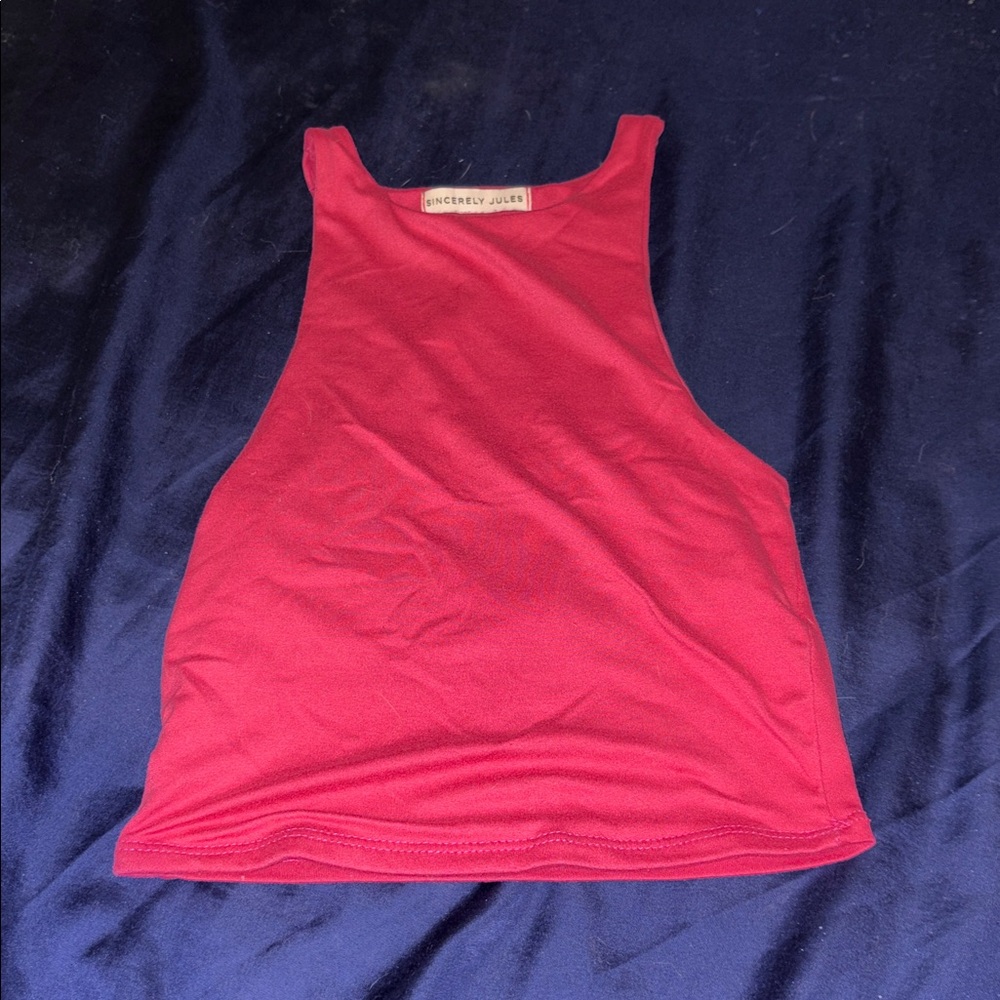 Sincerely Jules Pink Crop Top